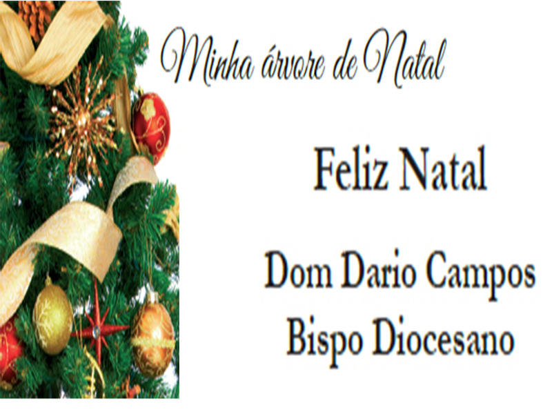 Mensagem de Natal do Bispo Diocesano Dom Dario Campos